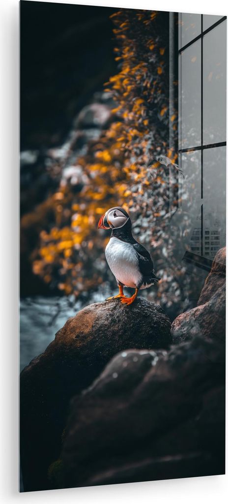 MuchoWow Glasbilder - Bilder auf Wandbild - Foto auf Glas Papagei - Vogel - Felsen - Weiß 60x120 cm Wanddekoration aus Glas - Acrylglasbild - Acry...