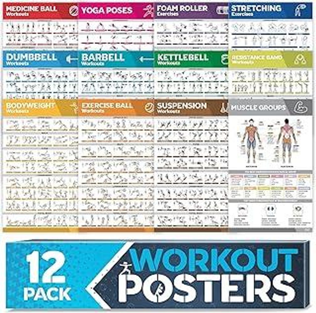 Laminiertes großes Workout-Poster-Set – perfekte Workout-Poster für das Fitnessstudio zu Hause – inkl.Übungstabellen, 12er-Set Hantel-, Yoga...