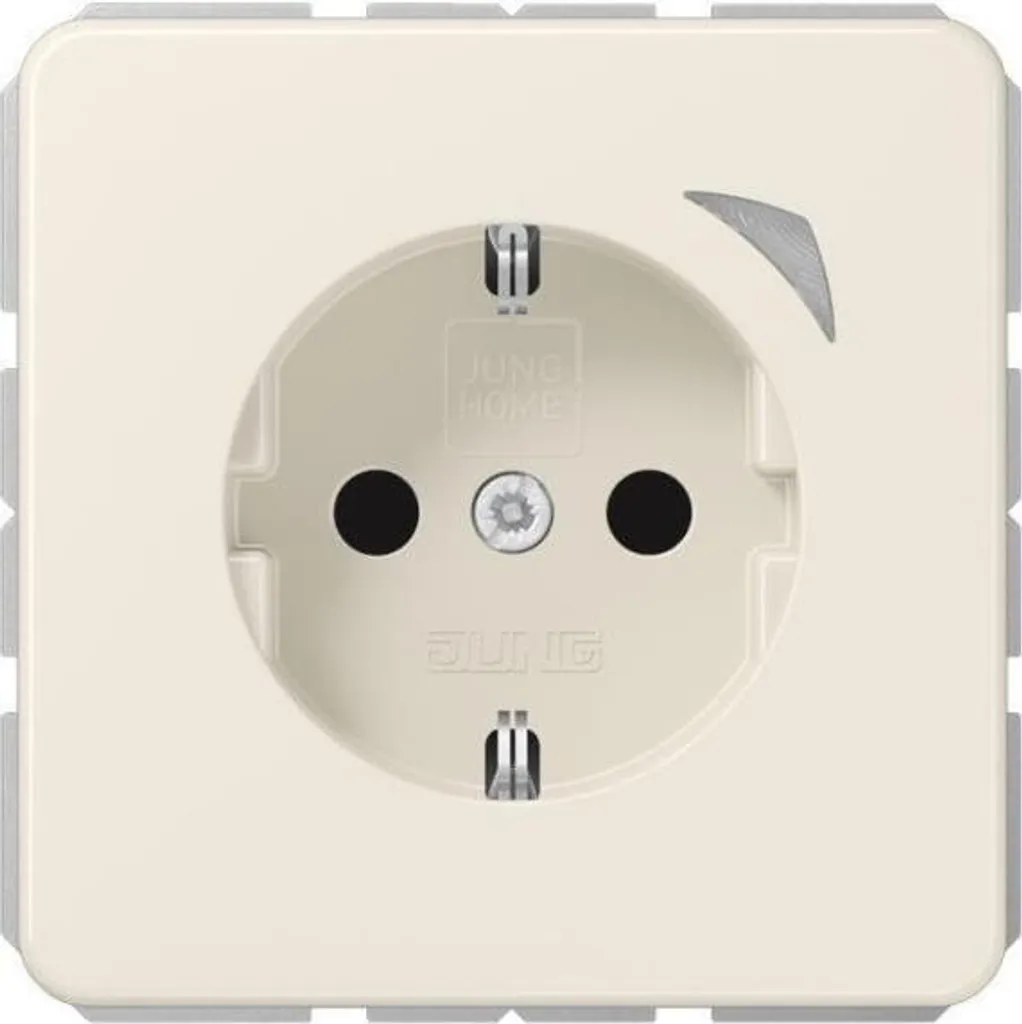 Prise Murale Jung HOME BTCD1521S pour Automatisation Maison sans Hub