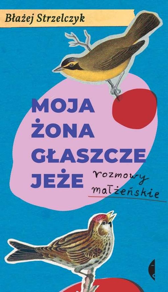 ISBN 978-83-804-9945-4, Polnisch, Hardcover, 200 Seiten