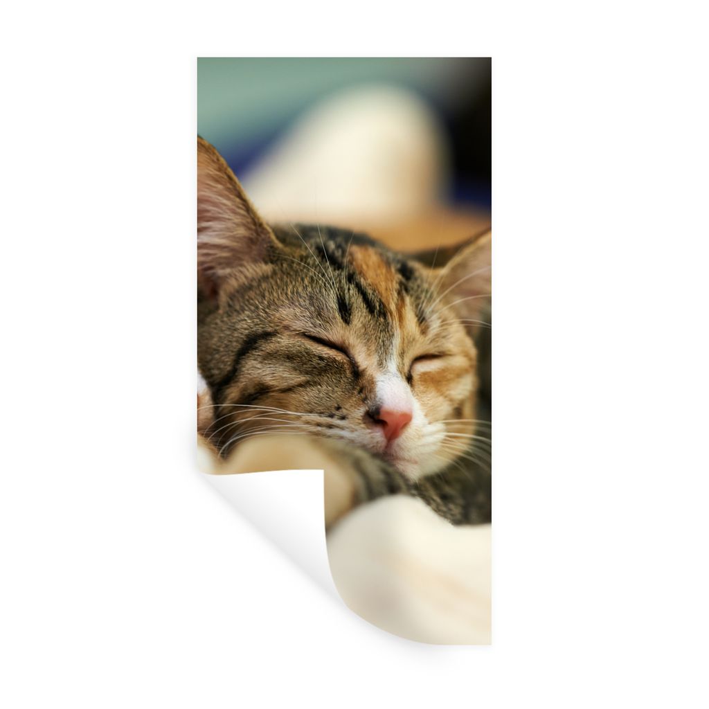 MuchoWow Wandtattoo Wandsticker Wandaufkleber Katzen - Schlafen - Vorleger 80x160 cm Selbstklebend und Repositionierbar - Sticker - Dekorfolie