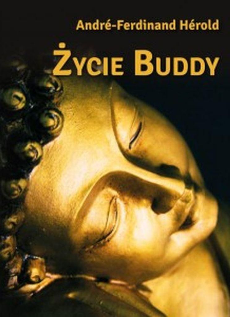 ISBN 978-83-663-8837-6, Polnisch, Taschenbuch, 240 Seiten