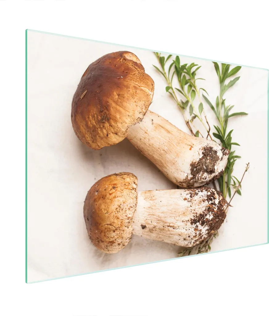 Tagliere in Vetro Temperato 40x30 cm Funghi | Design e Igiene