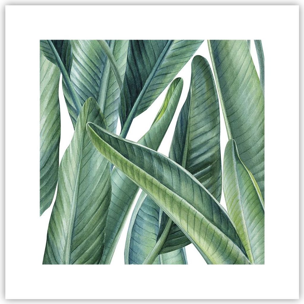 Poster - Poster ohne Rahmen - Exotisch Blätter Grün - 30x30 cm - Wand Bild - Wanddeko - Wandbilder - Kunstposter - Wandposter - Bilder - Kunstdru...