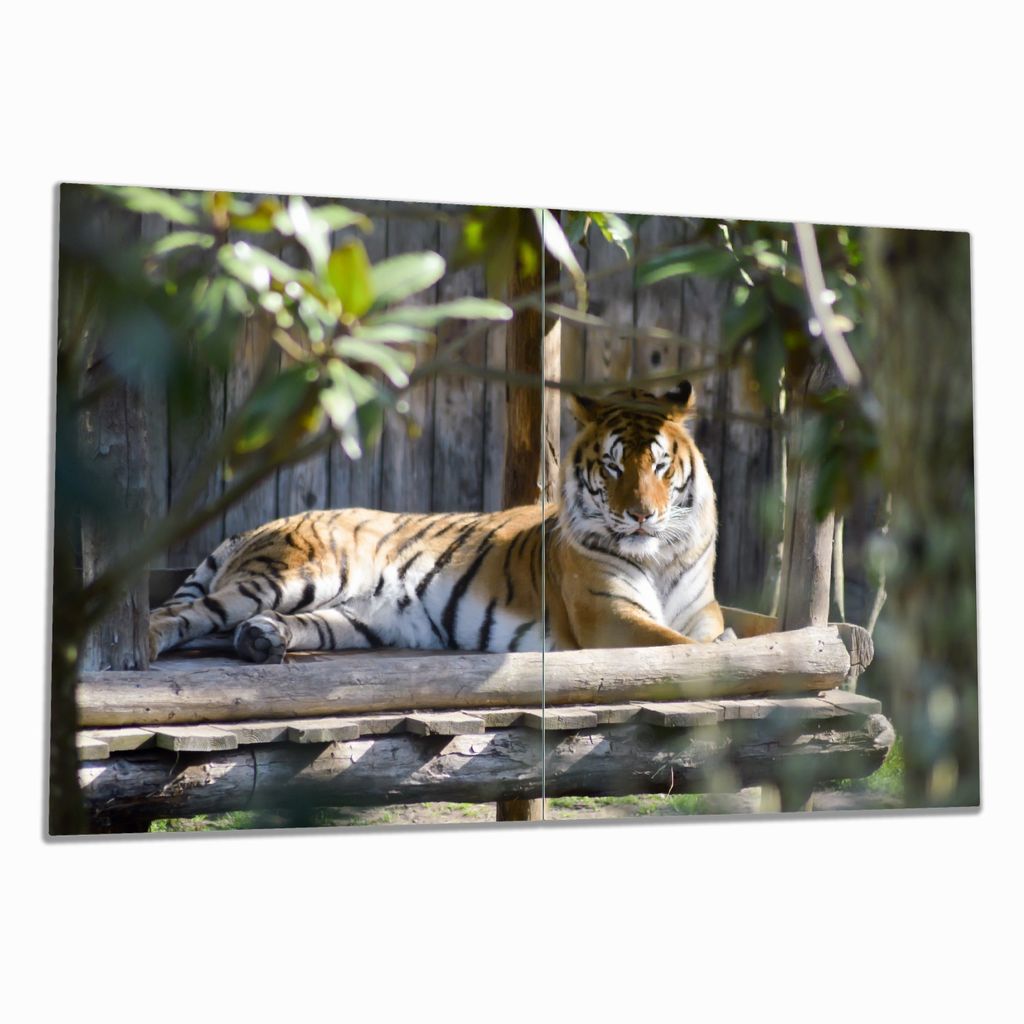 Wallario Herdabdeckplatte aus Glas, Größe 80 x 52 cm 2-teilig, Motiv Tiger im Sonnenschein