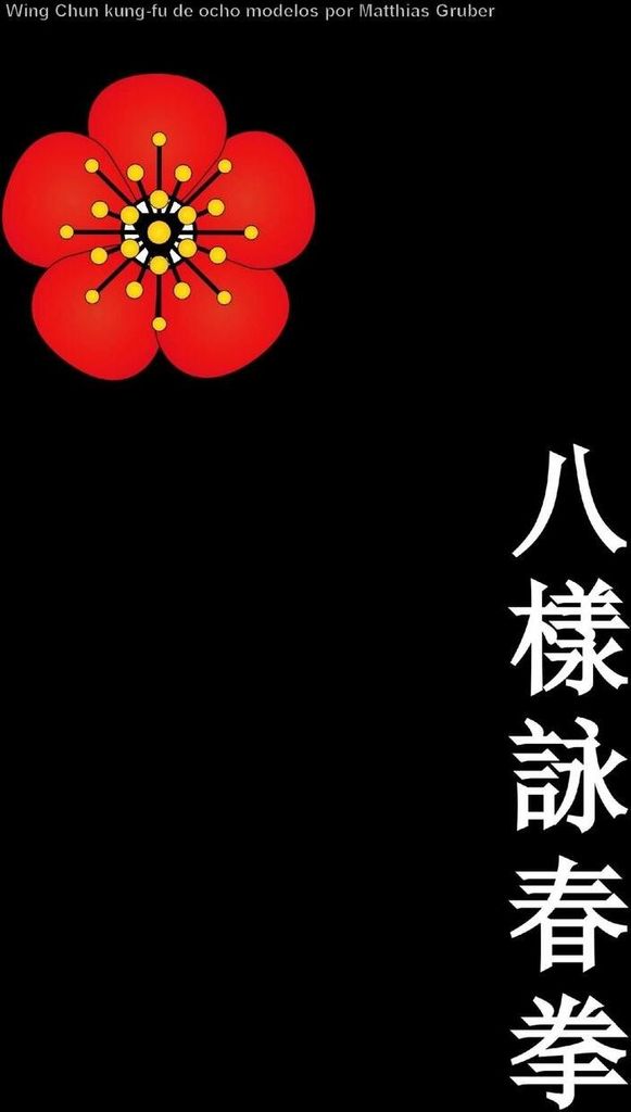Wing Chun kung-fu de ocho modelos