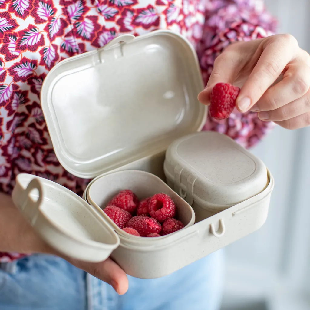 Porta pranzo Koziol Bio-Circulair Pascal Ready Nature Ash Grey (Set da 6)) | Negozio Cucina