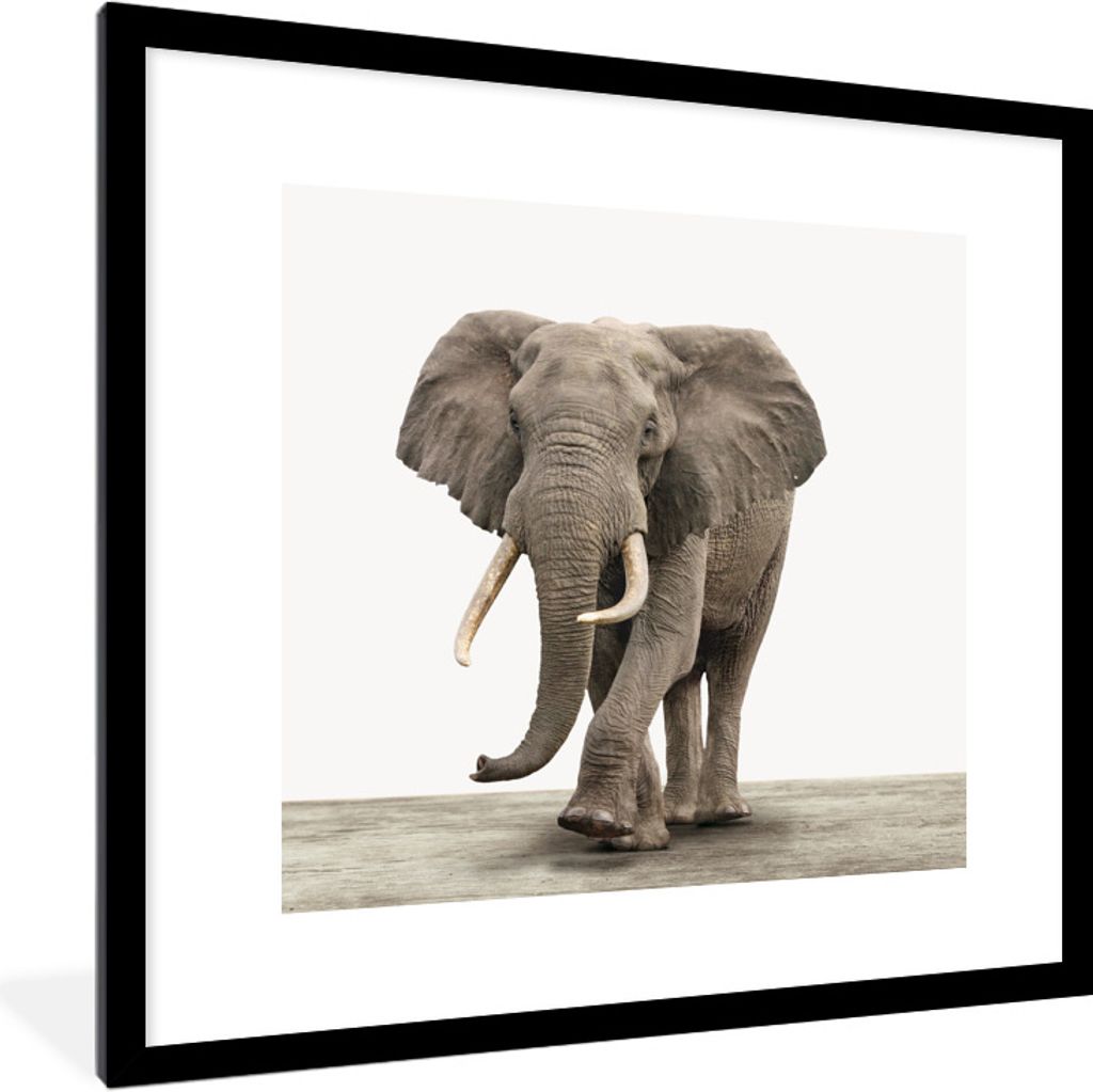 MuchoWow Gerahmtes Poster Elefant - Kinder - Tiere - Mädchen 40x40 cm - Poster mit Schwarzem Bilderrahmen Wandposter Rahmen Foto Bilder - Poster...