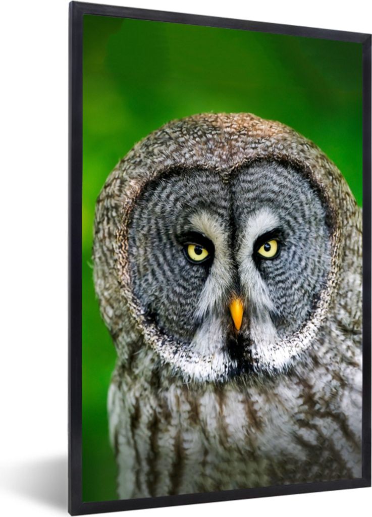 MuchoWow Gerahmtes Poster Vogel - Eule - Tiere - Braun - Porträt 20x30 cm - Poster mit Schwarzem Bilderrahmen Wandposter Rahmen Foto Bilder - Dr...