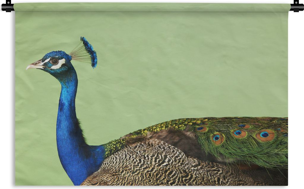 MuchoWow Wandteppich Wandbehang Pfau - Vogel - Federn 90x60 cm Tapisserie Dekoration Wandtuch - Wandskulpturen - Bildteppich
