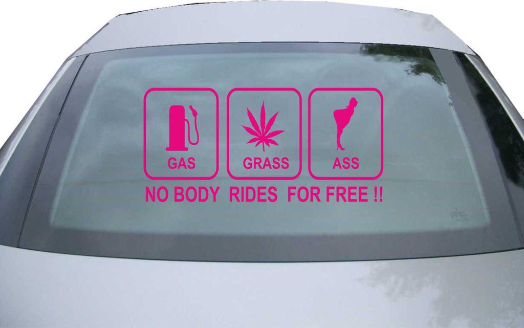 Indigos UG - Aufkleber Heckscheibe & Motorklappe DE6093 - pink - 600x285 mm - no body rides for free!! - Auto Scheiben Fenster Heckklappe Tuning Ra...
