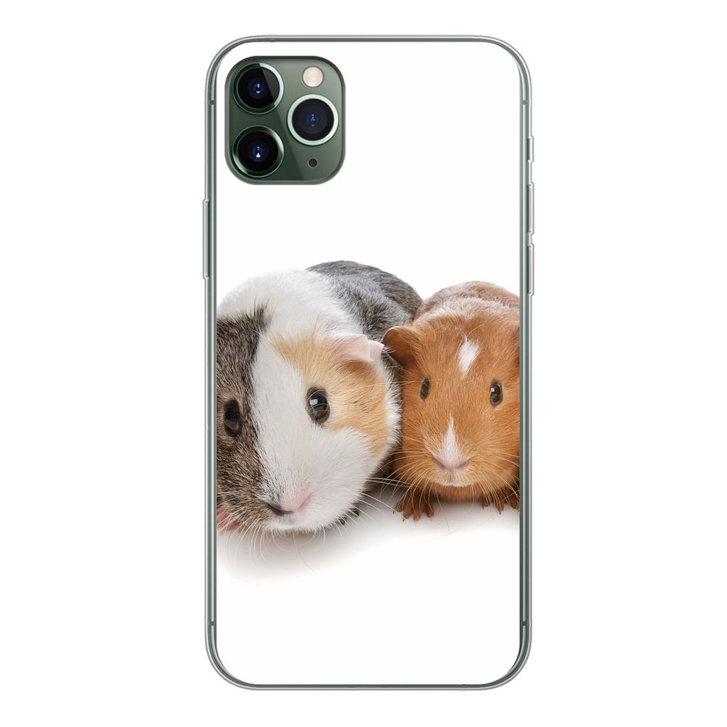 MuchoWow Handyhülle Schutzhülle Hülle für iPhone 11 Pro Max Fünf Meerschweinchen Silikon Softcase Handy Hülle - Schutz