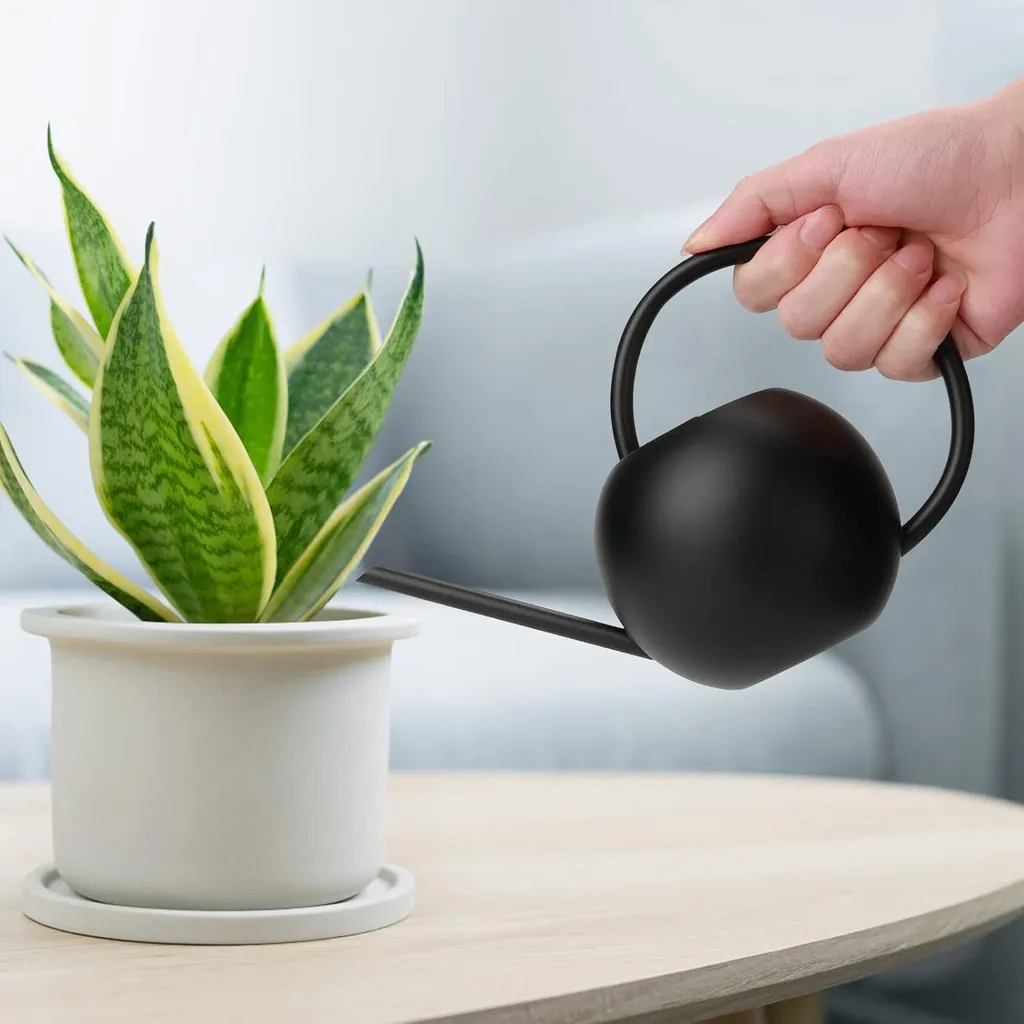 Arrosoir intérieur noir 400 ml Langer mini modèle en métal