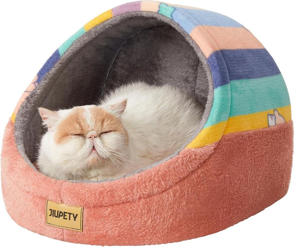Katzenbettgrot Regenbogen M für den Innenbereich