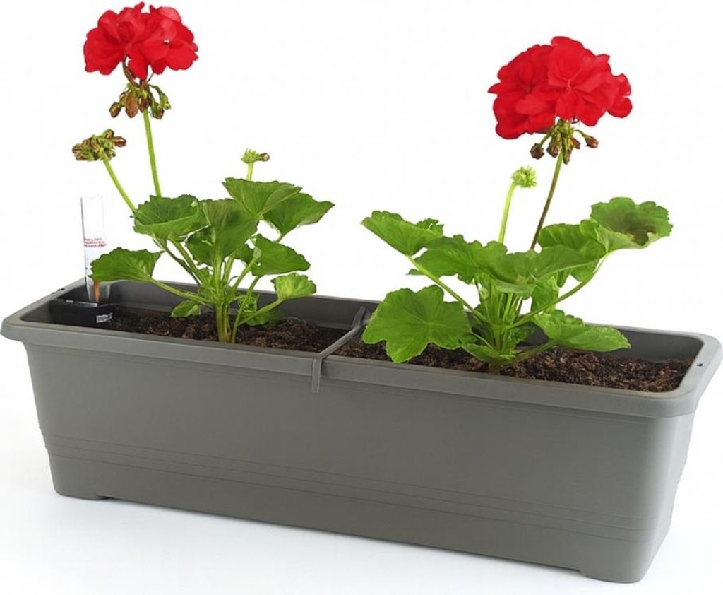 Blumenkasten Balkon 50 cm Balkonkasten mit Halterung Blumenkasten mit Wasserspeicher Fensterbank Außen Balkongeländer Blumenkastenhalterung