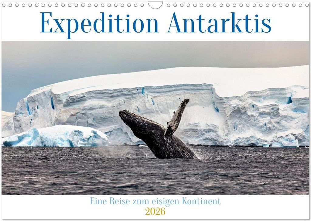 Expedition Antarktis (Wandkalender 2026 DIN A3 quer), CALVENDO Monatskalender