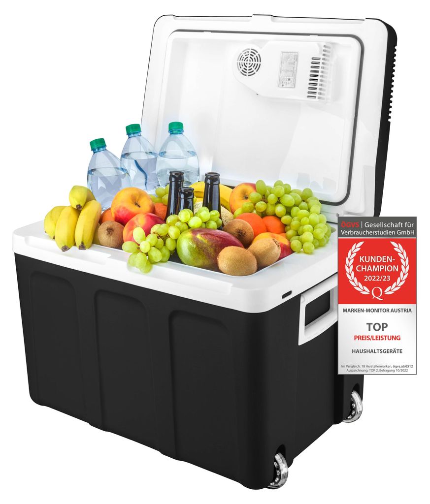 TZS First Austria - Kühlbox 45L elektrisch 12V 230V Produktbild 