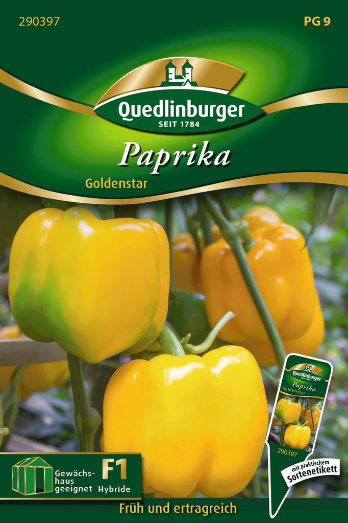 Blockpaprika Goldenstar | Paprikasamen von Quedlinburger