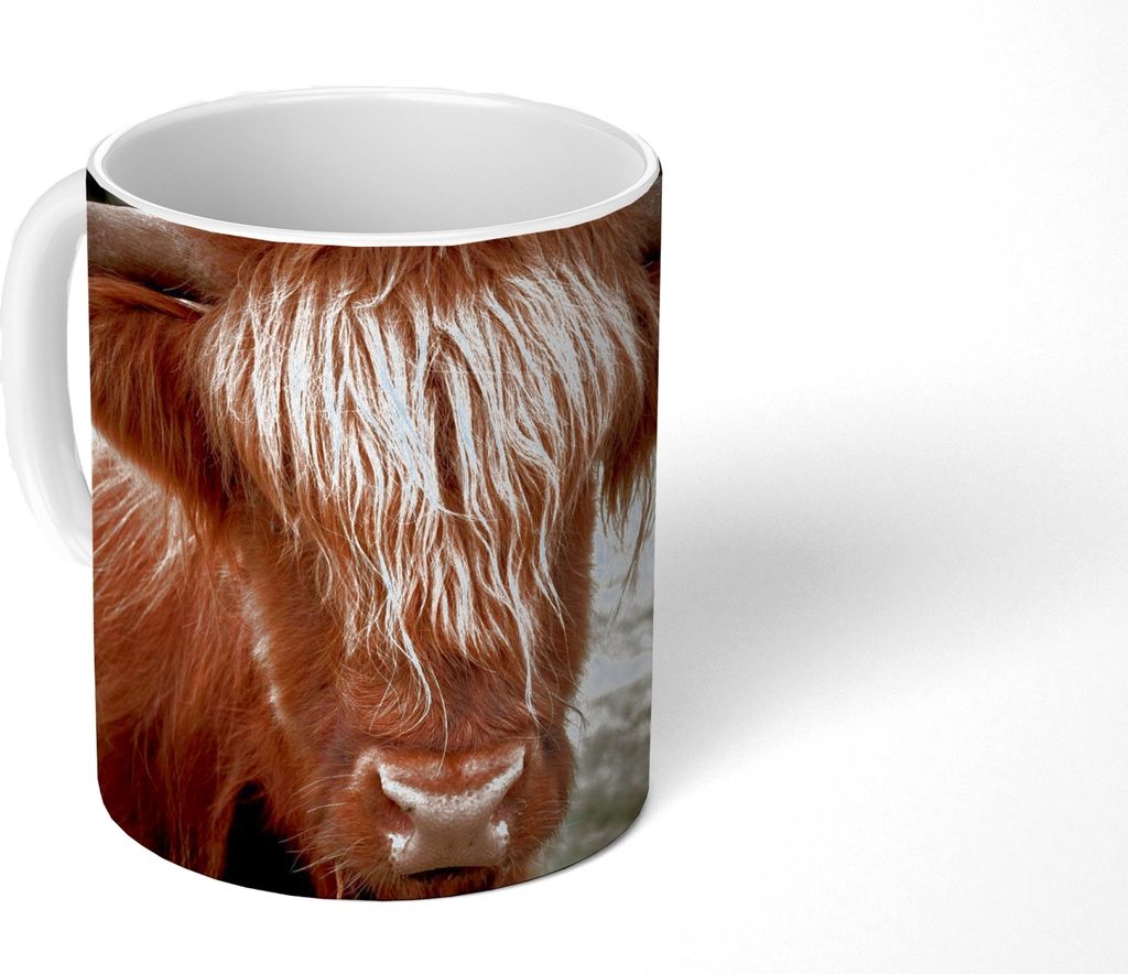 MuchoWow Tasse Kaffeetasse Kaffeebecher 350 ml Schottisches Hochlandrind - Baum - Gras Teetasse - Fototasse - Becher - Keramikbecher - Teebecher ...