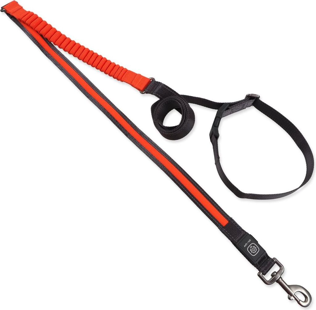 Dog Fantasy USB LED Nylon Laufleine orange 2,5x180-250cm