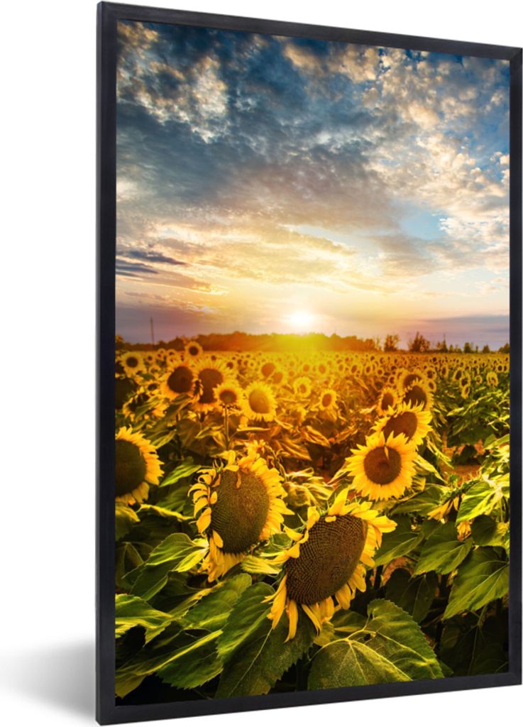 MuchoWow Gerahmtes Poster Blumen - Sonnenblume - Himmel 20x30 cm - Poster mit Schwarzem Bilderrahmen Wandposter Rahmen Foto Bilder - Drucken - Bi...