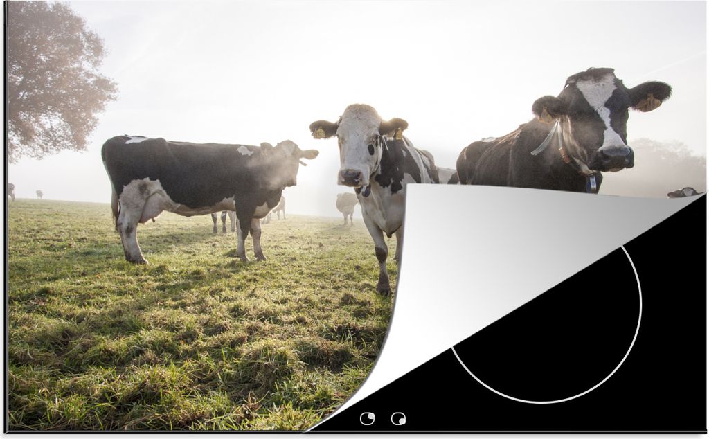 KitchenYeah Herdabdeckplatte Kuh - Gras - Nebel , 80x52cm, Küche Deko, Glaskeramikfeld Herdabdeckung, Abdeckplatte fùr Kochfeld