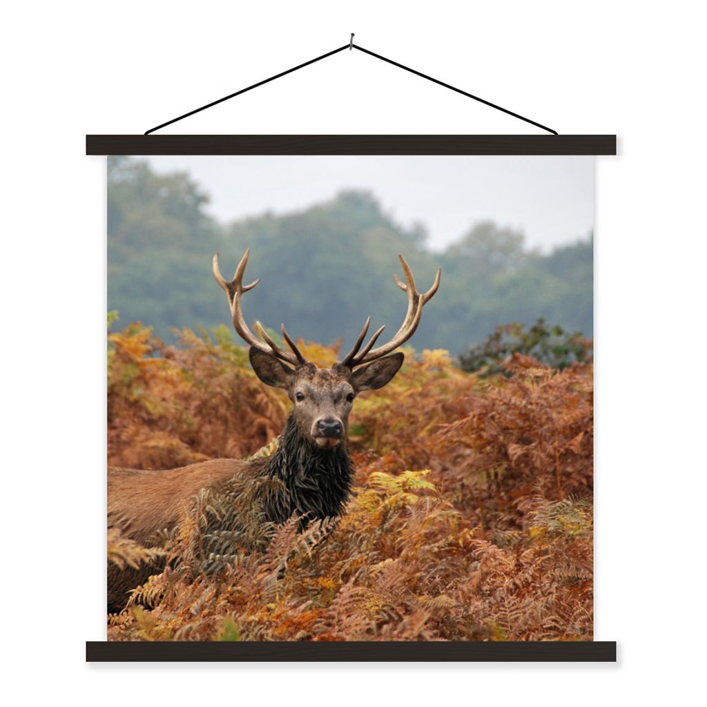 MuchoWow® Textilposter Hirsch - Baum - Herbst 60x60 cm mit Produktbild 