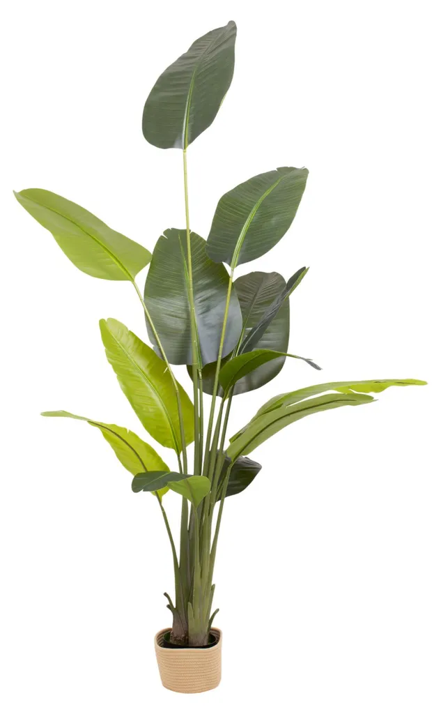 Bananier Artificiel Traveller Banana 210 cm avec Pot Beige Déco Tropicale
