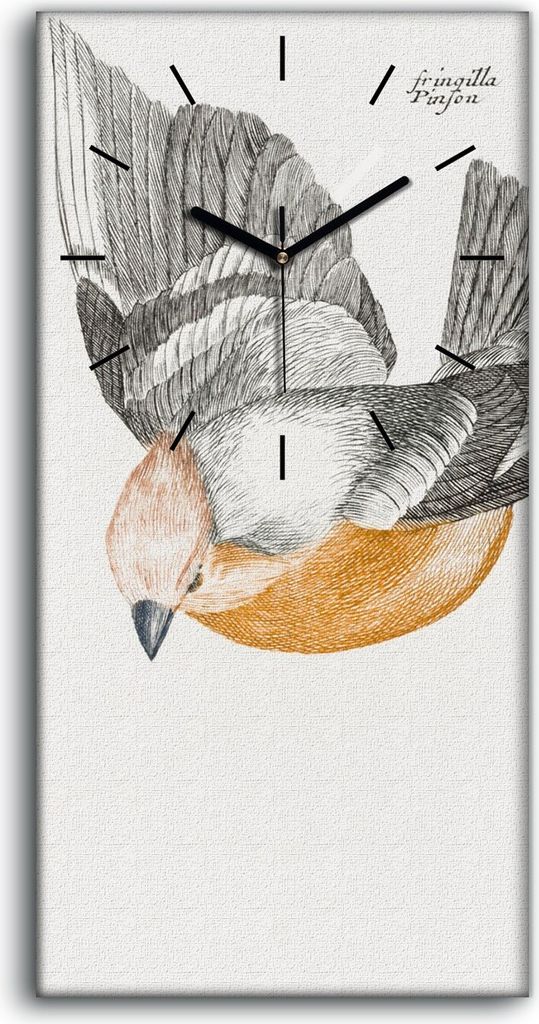 Küchenuhr Bürouhr Leinwand Uhr Quarz 30x60 Zeichnung Tier Vogel Zweig Kunst - schwarze Hände