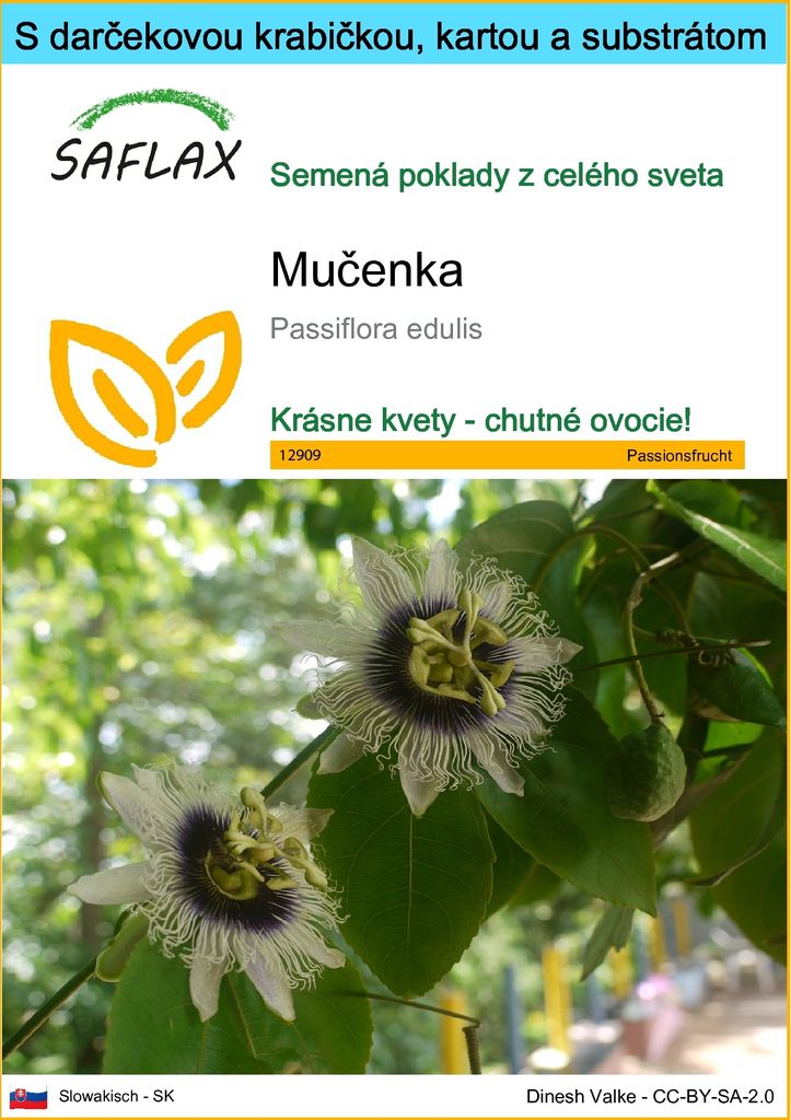 SAFLAX Darčeková sada - mučenka - Passiflora edulis - 40 Obrázok produktu 