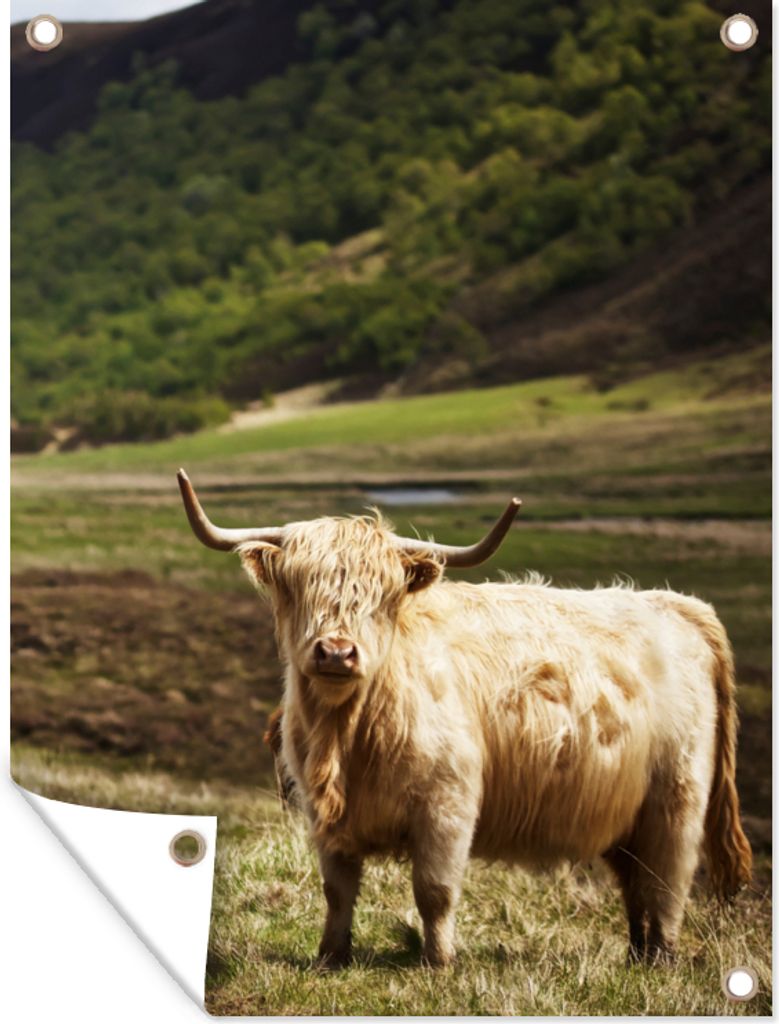 MuchoWow 30x40 cm Outdoor-Poster Gartendeko Sichtschutz Garten Poster für den Garten Schottische Highlander - Pfad - Wald
