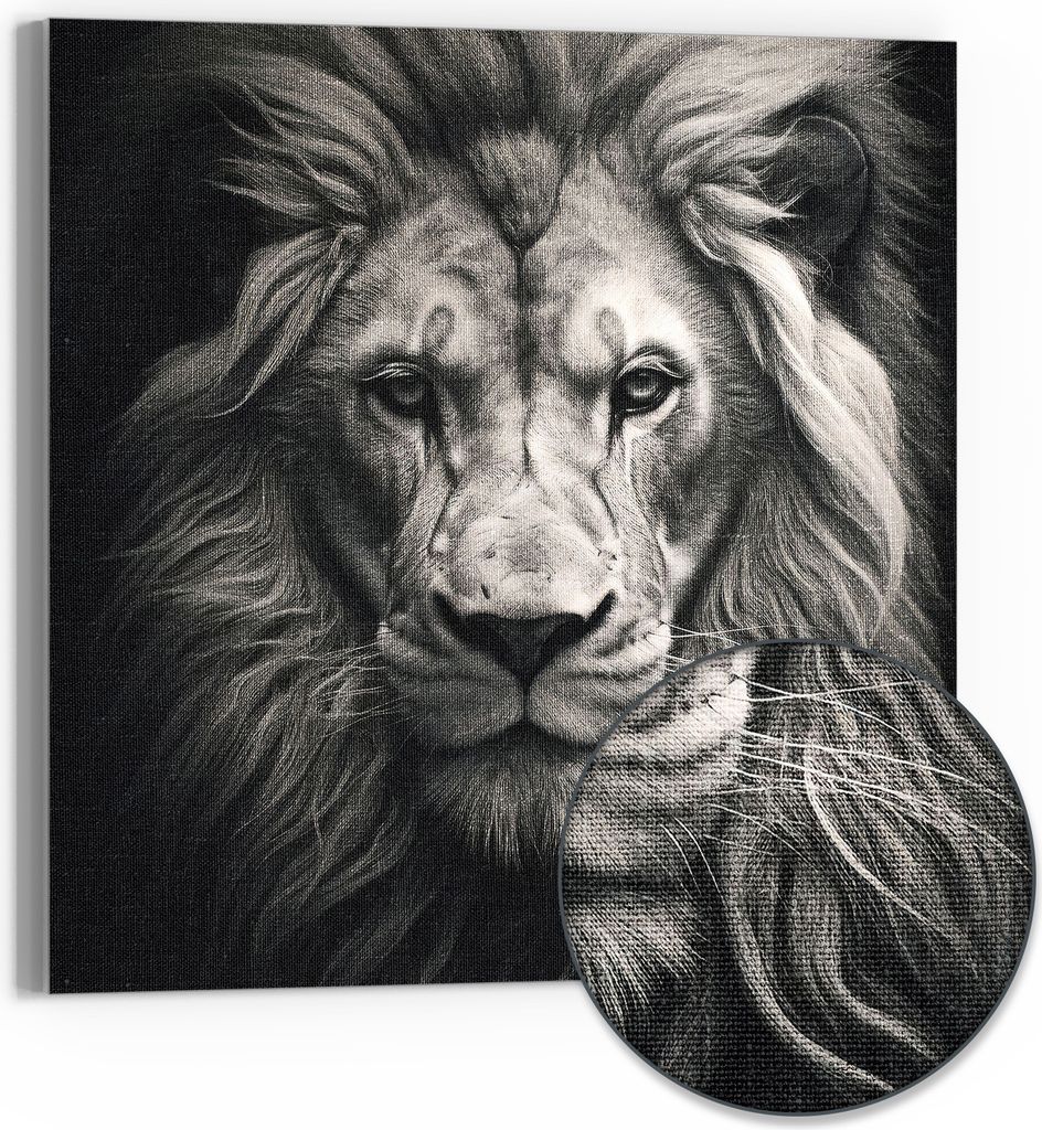 DEQOART Hybrid Leinwand Bild 50x50 cm 'Aristokratischer Löwe' Wandbild Glas flach modern