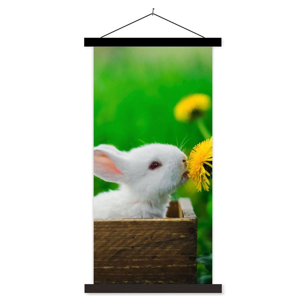 MuchoWow Textilposter Kaninchen - Löwenzahn - Gras 60x120 cm mit schwarzem Rahmen - Magnete