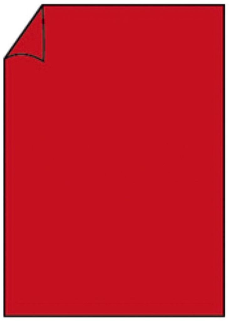 Rössler Papier 220701526 Coloretti Briefbogen - A4, 80g, 10 Blatt, mohn