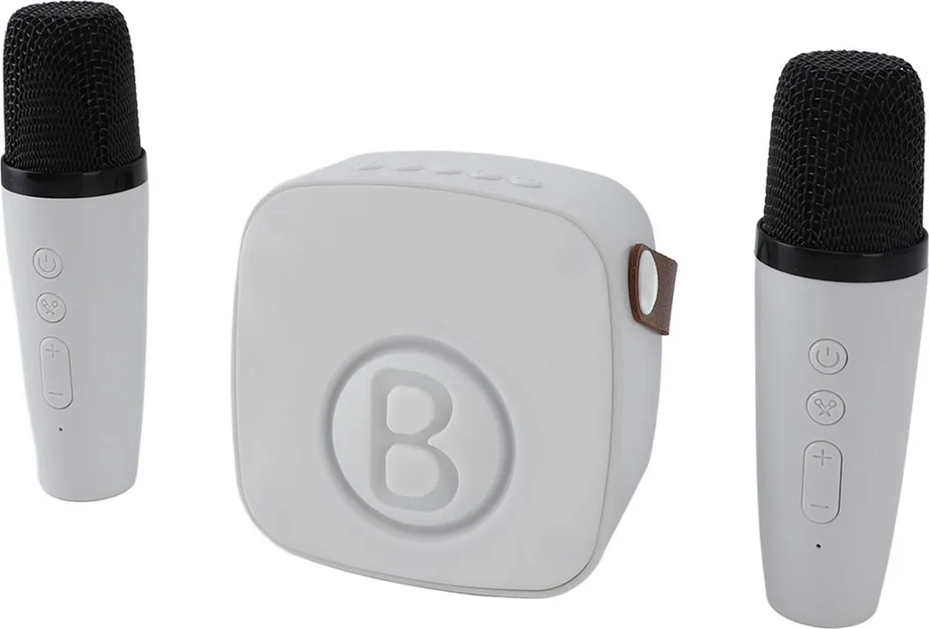 Mini karaoké sans fil avec 2 micros portables, son HD et Bluetooth 5.0