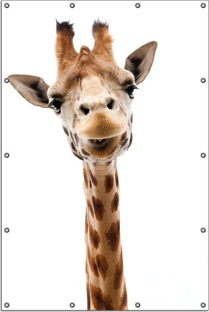 Wallario Outdoor-Poster für Garten oder Balkon, Motiv Giraffenkopf, in ca. 120 x 180 cm