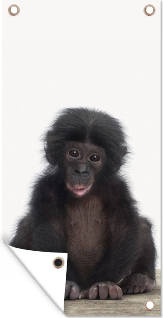 MuchoWow 40x80 cm Outdoor-Poster Gartendeko Sichtschutz Garten Poster für den Garten Kind - Affe - Schimpanse - Babytiere - Jungen - Mädchen