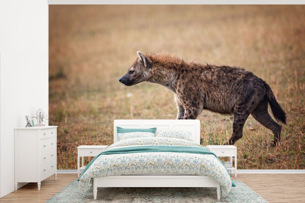 MuchoWow Fototapete für Wohnzimmer oder Schlafzimmer Wandtapete Vinyl Motivtapete Hyäne - Gras - Jagen - 345x220 cm - Wohnzimmertapete