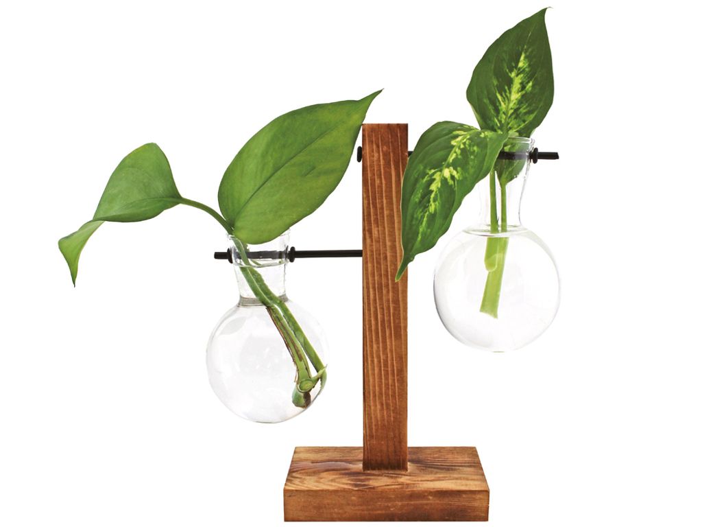 Hydrowazon Fleur Zdjęcie produktu 