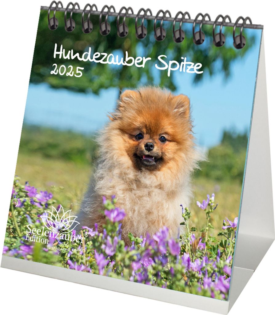 Hundezauber Spitze Kalender für 2025 Format 10cm x 10cm Welpen und Hunde - Seelenzauber