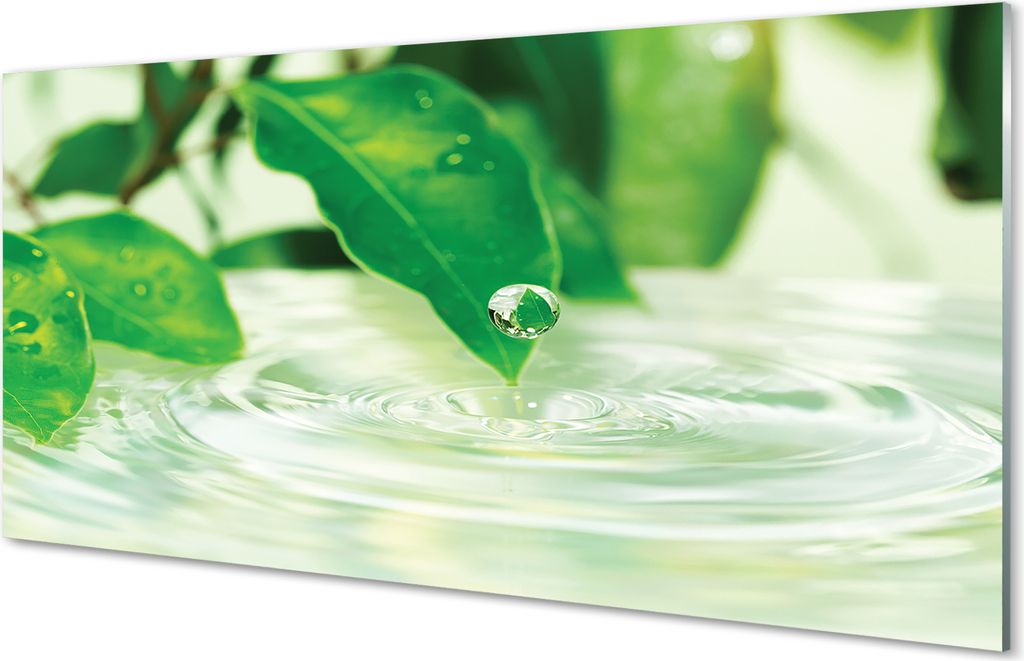 Spritzschutz 100x50 Wandkunst Drops Blätter Wasser
