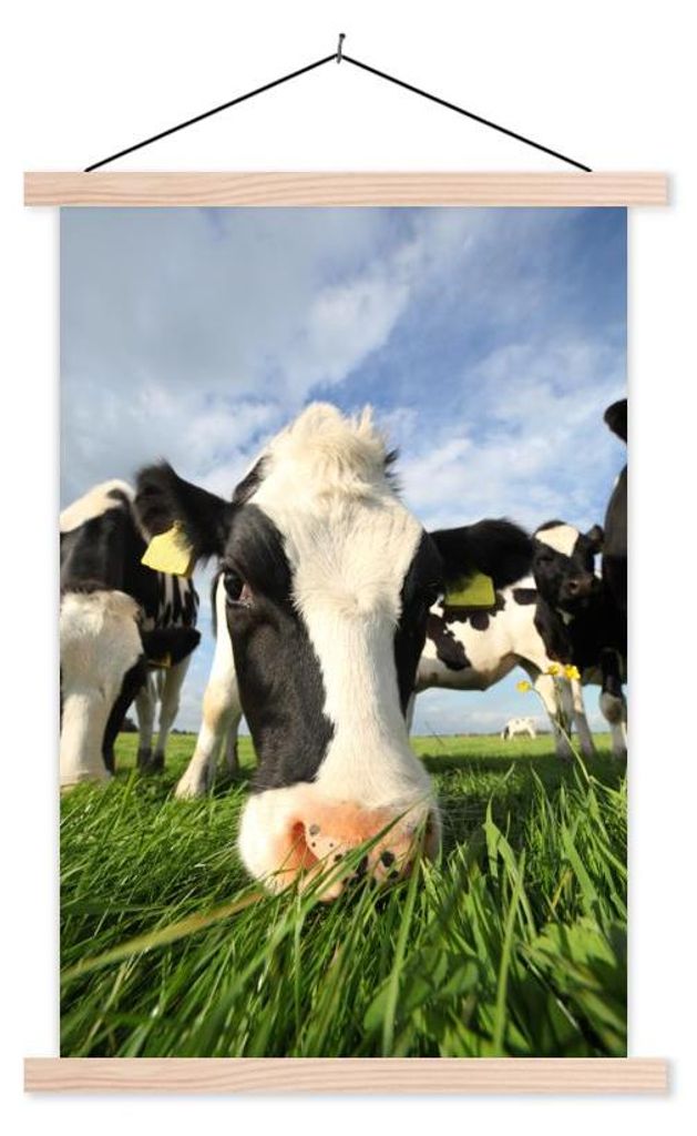MuchoWow Textilposter Kuh - Gras - Nase - Luft 40x60 cm mit holzfarbenen Rahmen - Poster