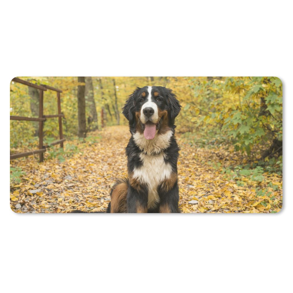 MuchoWow Mauspad Mousepad Ein Berner Sennenhund mit schönem Herbstlaub 60x30 cm - Mousepads - Maus Mat - Pad - Mausunterlage - Nachhaltig