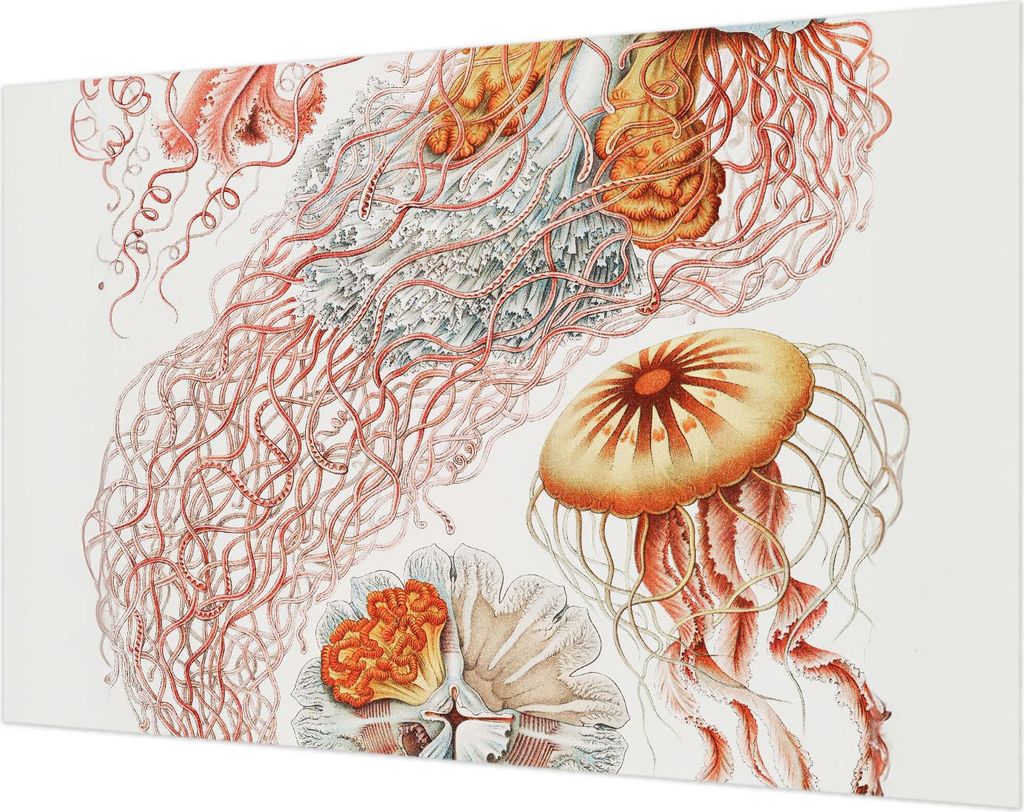 Wandtapete - Dekorative Tapete für Wohnzimmer- Tapetenfolie für Wanddekoration - 104x70 cm - Zierqualle