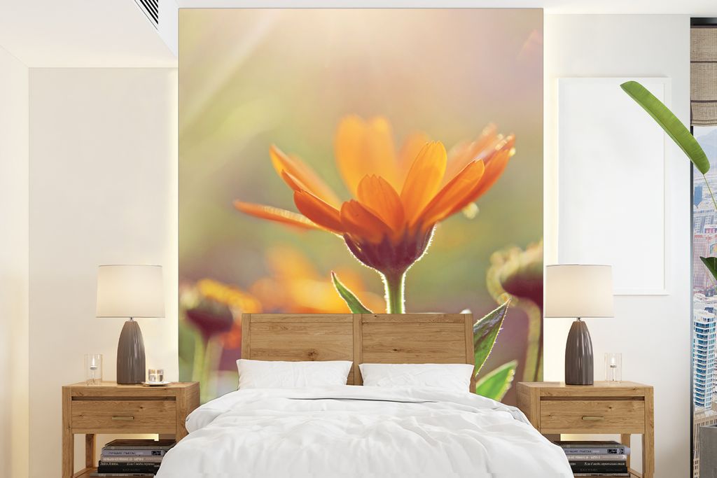 MuchoWow Fototapete für Wohnzimmer oder Schlafzimmer Wandtapete Vinyl Motivtapete Nahaufnahme einer Ringelblume in der Sonne - 205x280 cm - Wand...