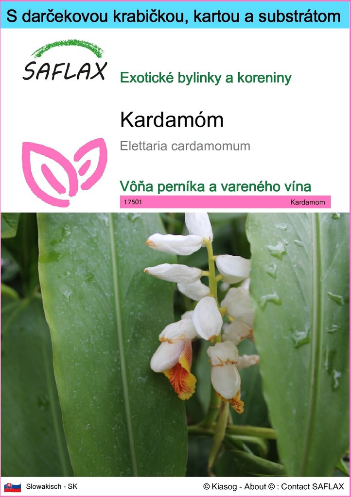 SAFLAX Darčeková sada - kardamóm - Elettaria cardamomum - Obrázok produktu 