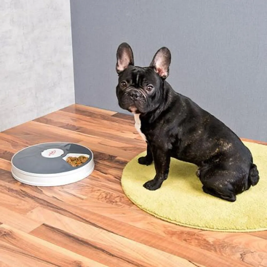Distributeur nourriture programmable pour petit chien et chat - 4L Blanc - 2