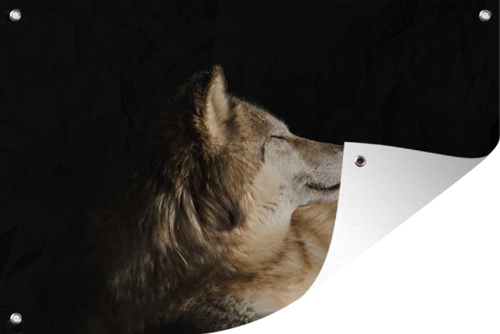 MuchoWow 120x80 cm Outdoor-Poster Gartendeko Sichtschutz Garten Poster für den Garten Zufriedener Polarwolf