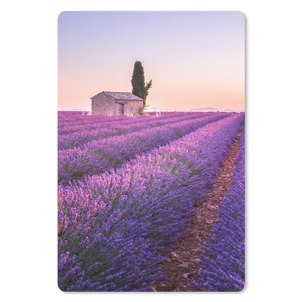 MuchoWow Mauspad Mousepad Lavendel - Sonnenuntergang - Lila - Blumen 18x27 cm - Mousepads - Maus Mat - Pad - Mausunterlage