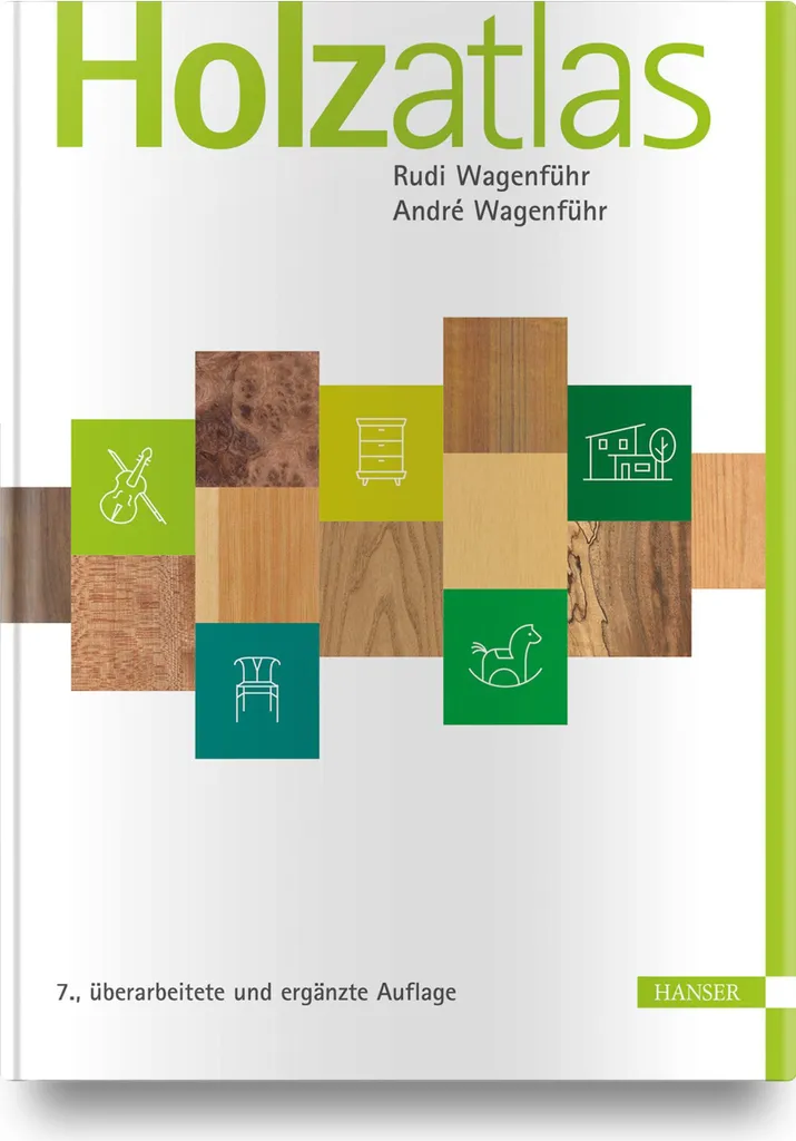 Mappemonde en Bois Holzatlas : Tableau Mural Géographique Haut de Gamme